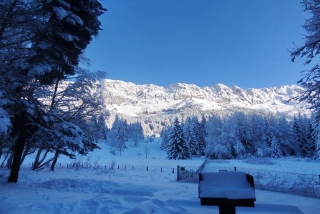 photoverconature - PHOTOS D'HIVER