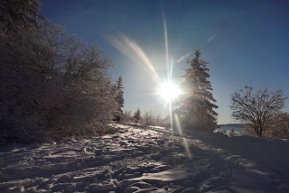 photoverconature - PHOTOS D'HIVER