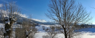 photoverconature - PHOTOS D'HIVER