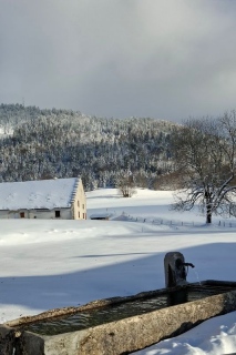 photoverconature - PHOTOS D'HIVER