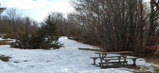 photoverconature - PHOTOS D'HIVER