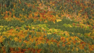 photoverconature - PHOTOS D'AUTOMNE
