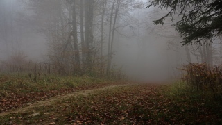 photoverconature - PHOTOS D'AUTOMNE