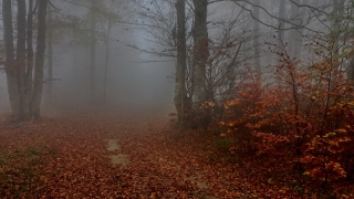 photoverconature - PHOTOS D'AUTOMNE