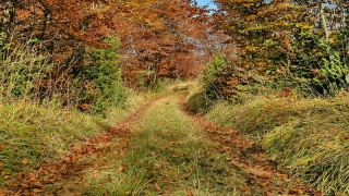 photoverconature - PHOTOS D'AUTOMNE