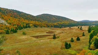 photoverconature - PHOTOS D'AUTOMNE