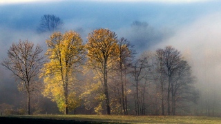 photoverconature - PHOTOS D'AUTOMNE