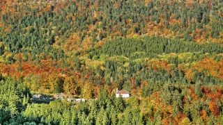 photoverconature - PHOTOS D'AUTOMNE