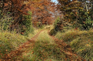 photoverconature - PHOTOS D'AUTOMNE