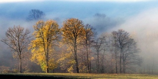 photoverconature - PHOTOS D'AUTOMNE