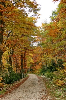photoverconature - PHOTOS D'AUTOMNE