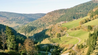 photoverconature - PHOTOS D'AUTOMNE