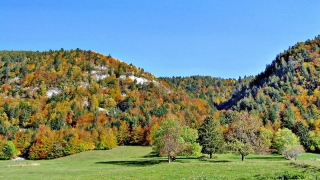 photoverconature - PHOTOS D'AUTOMNE
