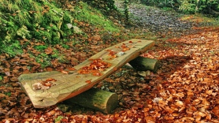 photoverconature - PHOTOS D'AUTOMNE