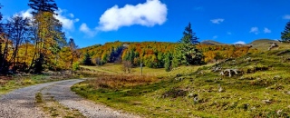 photoverconature - PHOTOS D'AUTOMNE