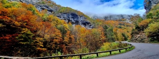 photoverconature - PHOTOS D'AUTOMNE