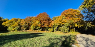 photoverconature - PHOTOS D'AUTOMNE