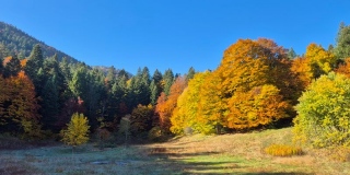 photoverconature - PHOTOS D'AUTOMNE