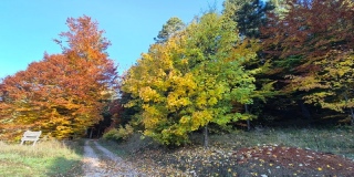 photoverconature - PHOTOS D'AUTOMNE