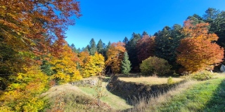 photoverconature - PHOTOS D'AUTOMNE