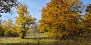 photoverconature - PHOTOS D'AUTOMNE