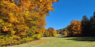 photoverconature - PHOTOS D'AUTOMNE