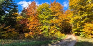 photoverconature - PHOTOS D'AUTOMNE