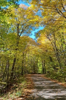 photoverconature - PHOTOS D'AUTOMNE