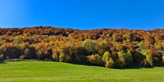 photoverconature - PHOTOS D'AUTOMNE
