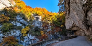 photoverconature - PHOTOS D'AUTOMNE