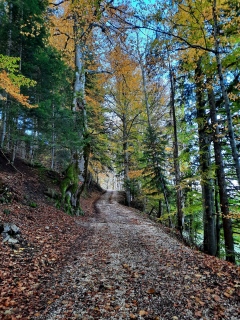 photoverconature - PHOTOS D'AUTOMNE