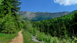 photoverconature - AU FIL DU CHEMIN