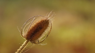 photoverconature - AU FIL DU CHEMIN