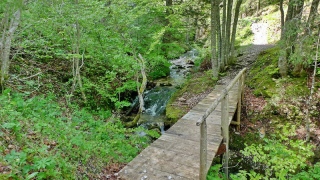 photoverconature - AU FIL DU CHEMIN