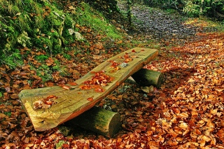 photoverconature - AU FIL DU CHEMIN