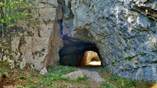 photoverconature - AU FIL DU CHEMIN
