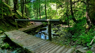 photoverconature - AU FIL DU CHEMIN