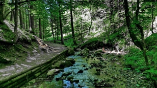 photoverconature - AU FIL DU CHEMIN