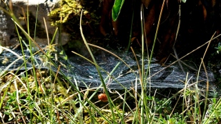 photoverconature - AU FIL DU CHEMIN