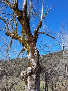 photoverconature - AU FIL DU CHEMIN