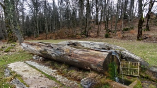 photoverconature - AU FIL DU CHEMIN