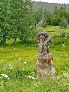 photoverconature - AU FIL DU CHEMIN