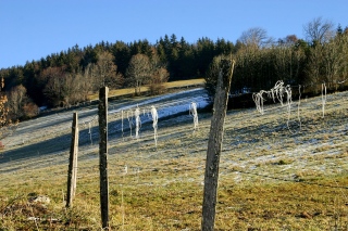 photoverconature - AU FIL DU CHEMIN