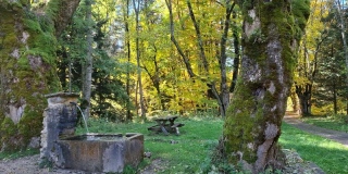 photoverconature - AU FIL DU CHEMIN