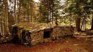 photoverconature - REFUGES