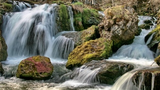 photoverconature - EAU