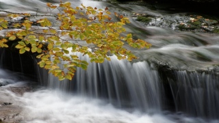 photoverconature - EAU