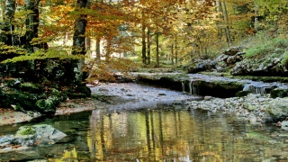 photoverconature - EAU