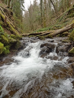 photoverconature - EAU