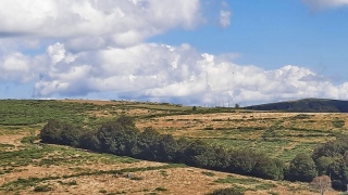 Hautes terres. - PLATEAU ARDECHOIS